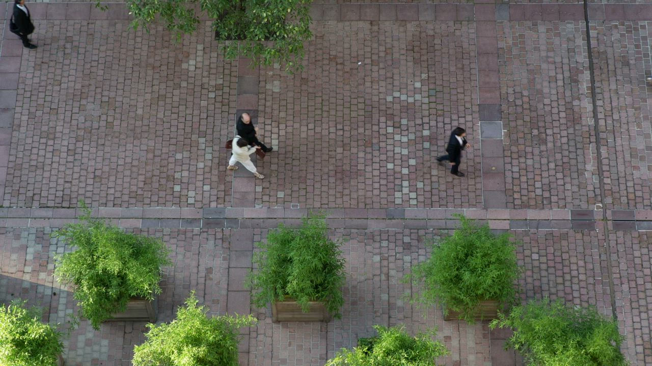 Illustrative marked walkway and adjacent movement area