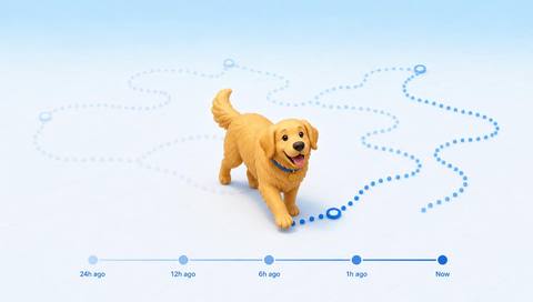 Illustration of retained animal observations arranged by time and camera location